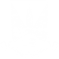 DR. BABASAHEB AMBEDKAR INTERNATIONAL RESEARCH CENTRE Logo